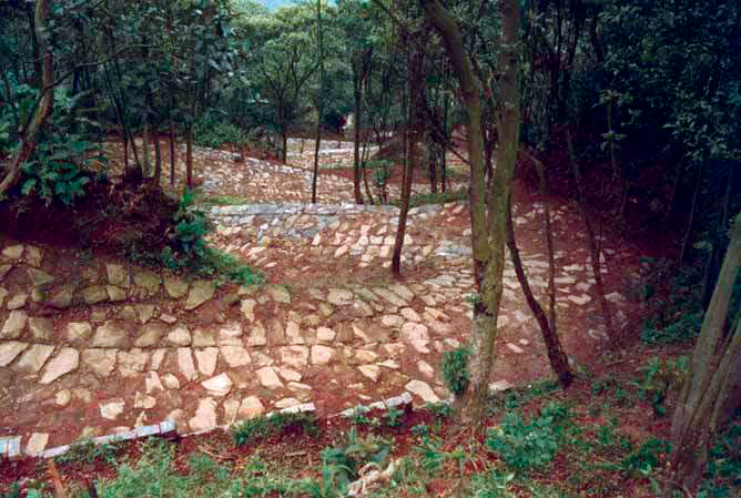 Calçamento estreito de pedra em área florestada com grande declive.