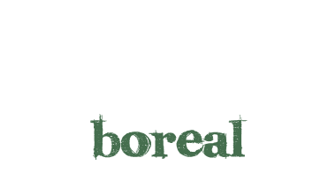 Logotipo da Boreal