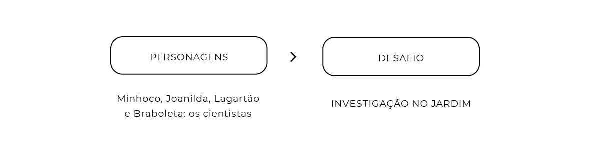 Esquema visual com duas colunas: personagens e desafio. Na coluna personagem está escrito embaixo: Minhoco, Joanlida, Lagartão e Braboleta: os cientistas. Na coluna desafio, lê-se: Investigação no jardim.